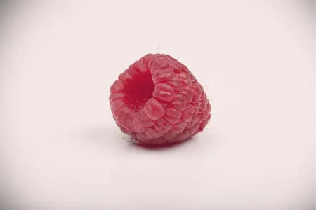 Rubus idaeus 'Zeva' - 40-50 CM C3 - image 5