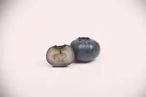 Vaccinium corymbosum - 60-80 CM C10 - image 4