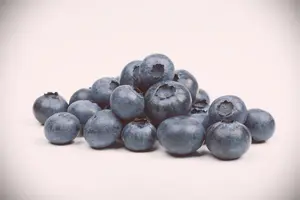 Vaccinium corymbosum 'Pioneer' - P9 + cane - image 3