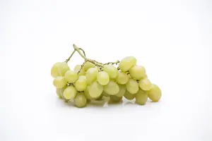 Vitis 'Lakemont' - 2 Ltr, single cane - image 3