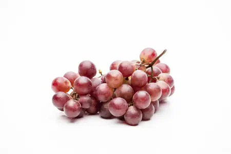 Vitis 'Vanessa' - 2 Ltr, single cane - image 2