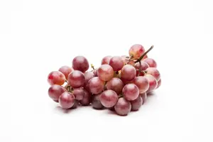 Vitis 'Vanessa' - 2 Ltr, single cane - image 2